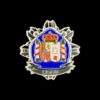 pin Insignia de solapa fiscal españa