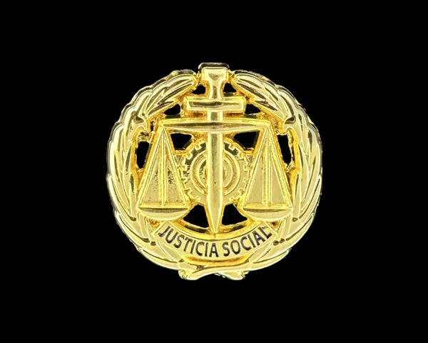 pin insignia solapa graduado social (dorado) España
